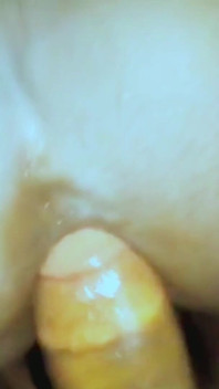 Bhabhi Gets a Little Hardcore Fucked, Fooled and Anal.