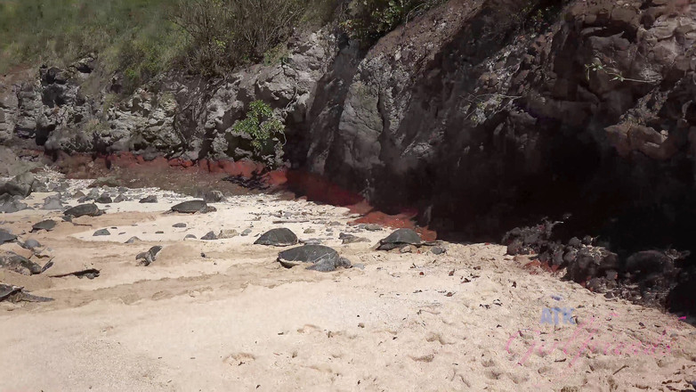 ATK Girlfriends: Virtuální dovolená na Havaji s Demi Lopez, část 4