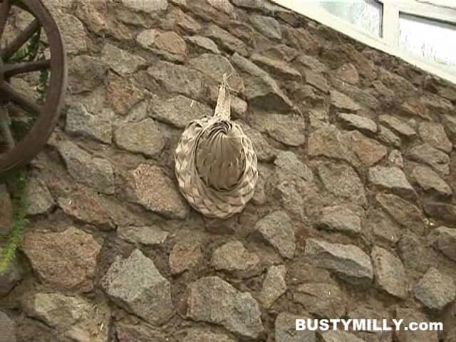 Busty Milly: Milly Moris Patio Pussy