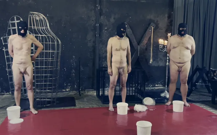 Mistress April: Dominatrix Mistress April - Three Slaves with One Whip!