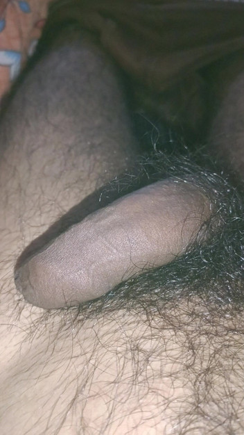 My videoxxx