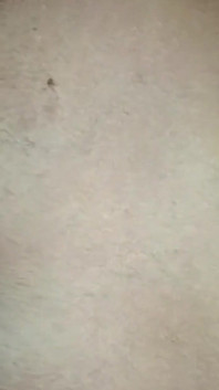 Ma demi-sœur sexy, gros plan, levrette, desi bhabhi