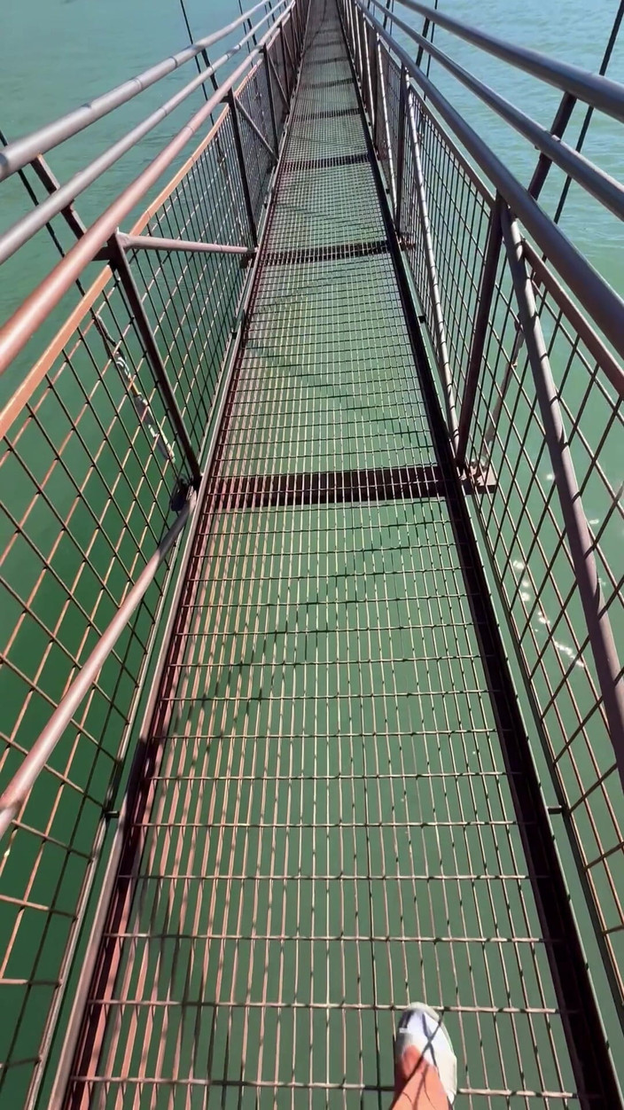 Dahlia Wolf: Chân tôn sùng cầu vượt ngoài trời