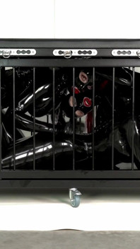 The Cage