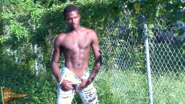 CocoDorm: Seksowny Sylk