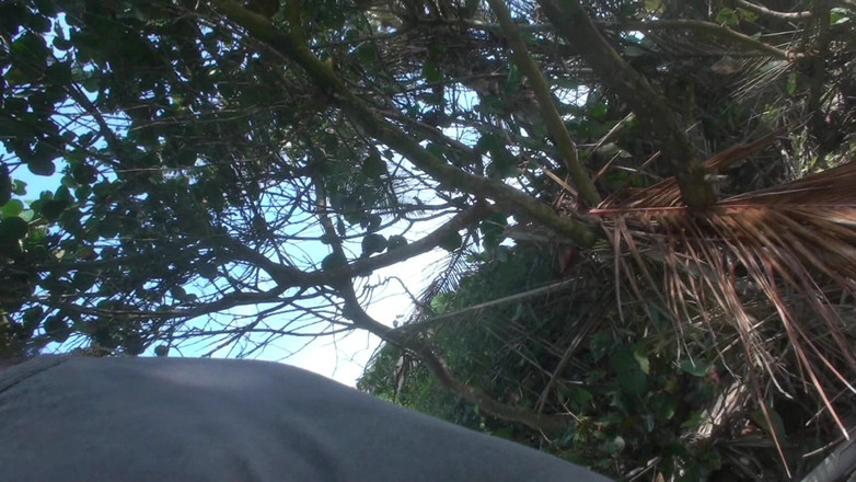 Blondehexe: Трахався на пляжі