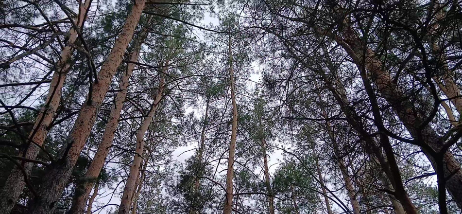 Lesbian-illusion: Our Third Girlfriend Keeps Watch in the Park so No...