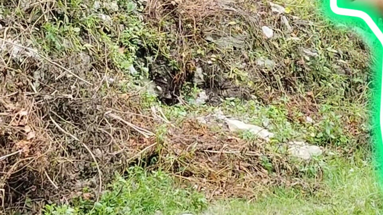 Uttar dinajpur: Köylü kız otel odasında ben erkek arkadaşım ki sat chudai...