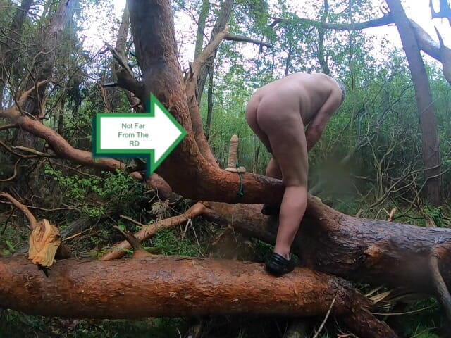 Andy: Things You Find in the Woods