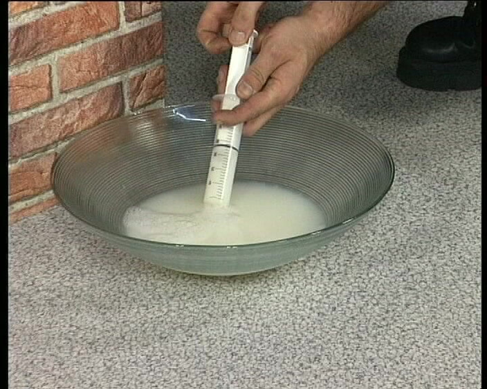 Porno Cloud: Sert sikiş edepsiz