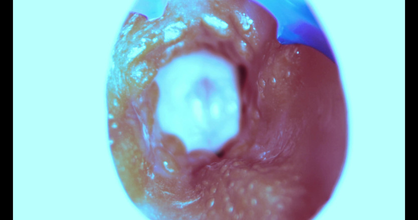 SEXY_GUYBEST: 我是如何从内部操的！相机里面！