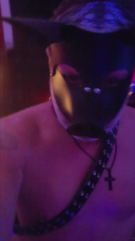 Varken bigsexydaddyd laat Domkat Kat-licious piepen van plezier