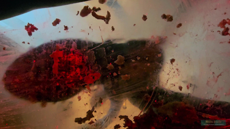 Strict Senz: Monika Smith Burger dev tükürerek çizmeye tapıyor