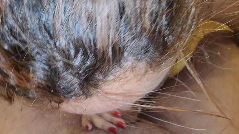 naughtylittleant: Stygg liten röv e o pojke Completo 01