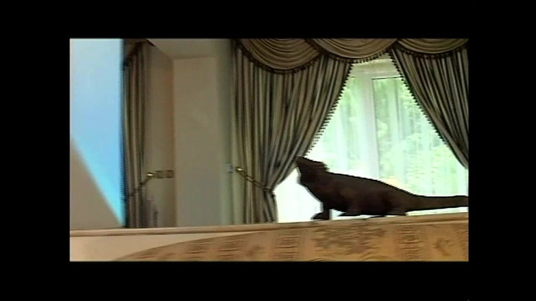 XTime Vod: 意大利人喜欢黑暗黑人（原始未删减版）