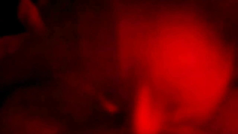 Marian sofar: マリアナホホットは最大の娼婦だ