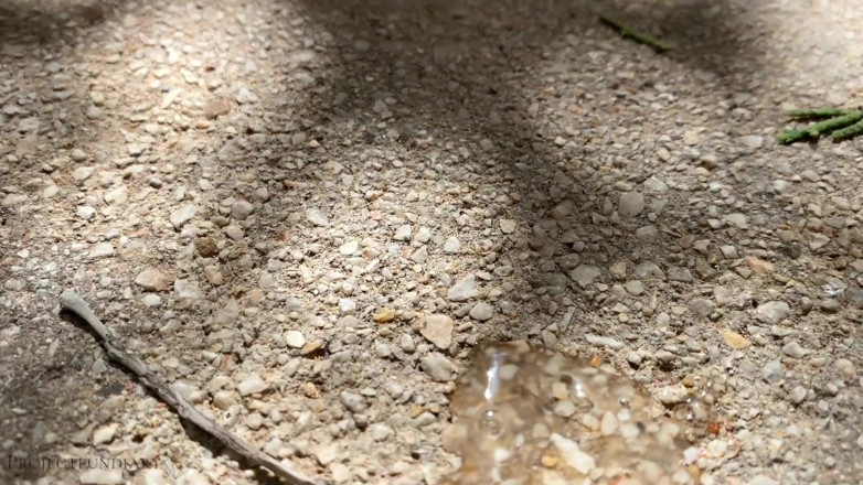 Projectsexdiary: Risky outdoor fuck in crowded city center