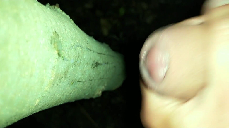 Idmir Sugary: Saya menambah air mani saya pada "pokok pancutan mani"