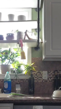 Cum and clean the kitchen with me