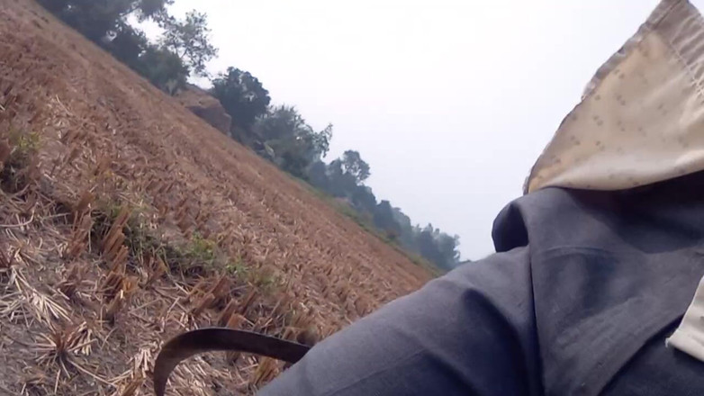 HotboyIndian: Indian Boy Sex Video Bodybuilder Big Cock