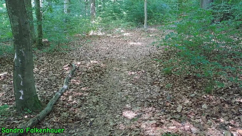 Sandra Falkenhauer: A Dildo Shot in the Wood