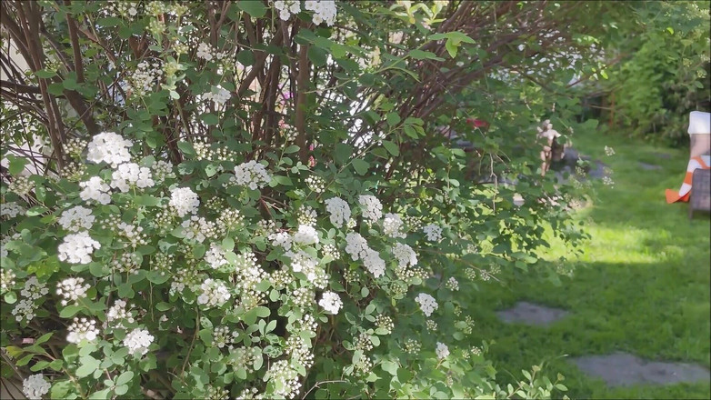 Dom Rod: 딱딱하고 순진한 일광욕 지역 3