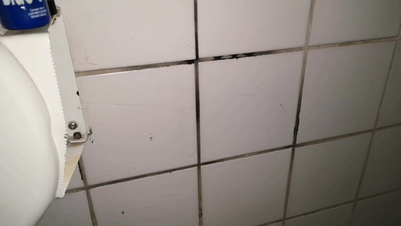 Monster_Meat_: Wanking in the toilet