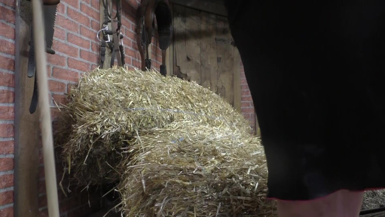 tammara big: Pussy Jerking off in the Hay