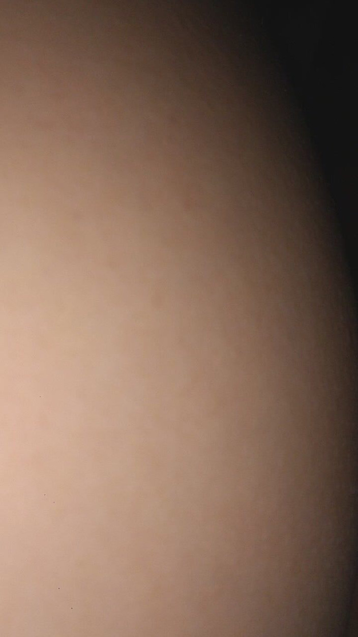 Sharinga: Quay lén nghịch ngợm