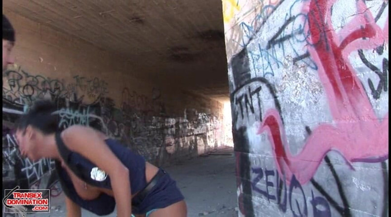 Transex domination: El oficial Ariel toma el cargo