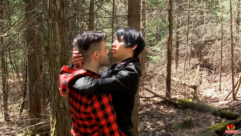 Phoenixxx: Dřevo v kabině Daniel bere každý centimetr