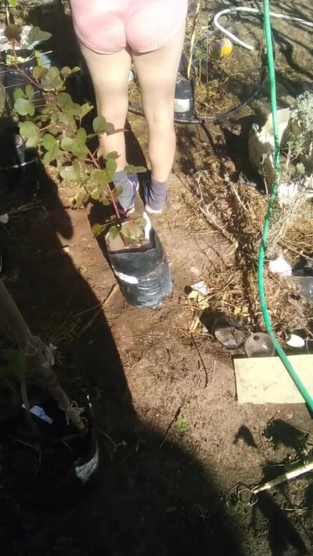 Fitcure1: Menonton dia menyiram