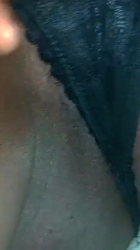 The Nice Pussy