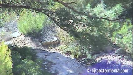 Sextermedia by Pete: Amateur in the nude sunbath covered