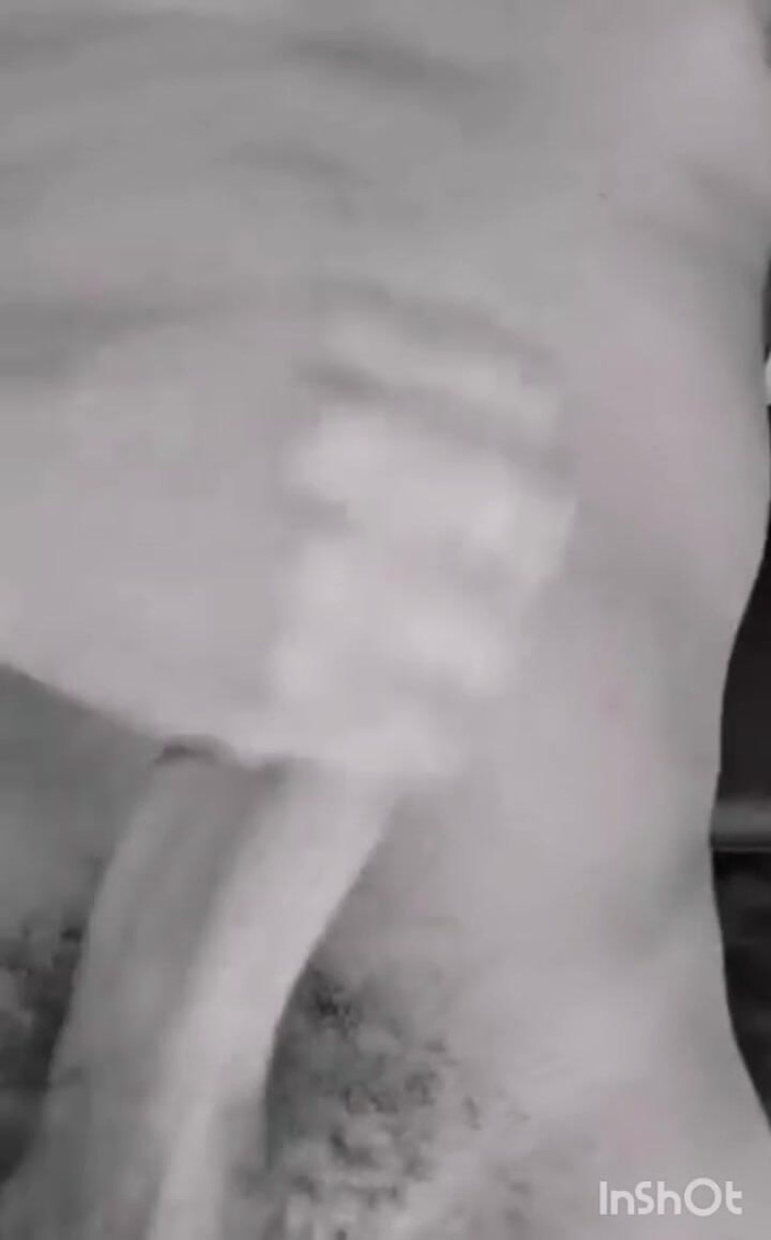 Rex Bitchington Blade: Tinh dịch cu đen