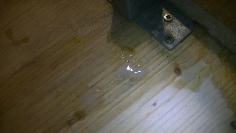 Mark Hannes: Fleshlight - foda em stand masturbação