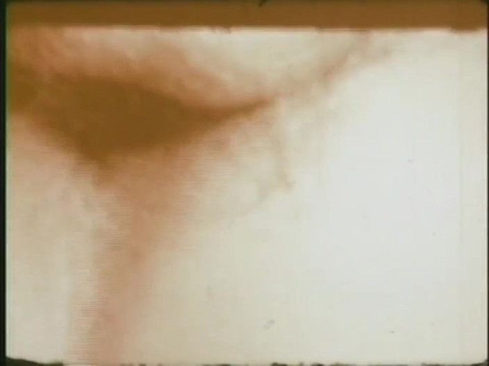Vintage Usa: Our origin xxx... - Vol. 14