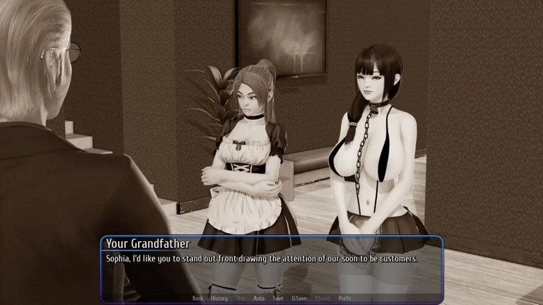 Miss Kitty 2K: ハーレムホテルのプレゼンテーションは、とてもかわいいホットな女性とメイドに会います!!- パート1